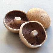 Portabella Mushrooms