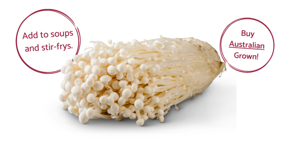 enoki-mushrooms-australian-mushroom-growers