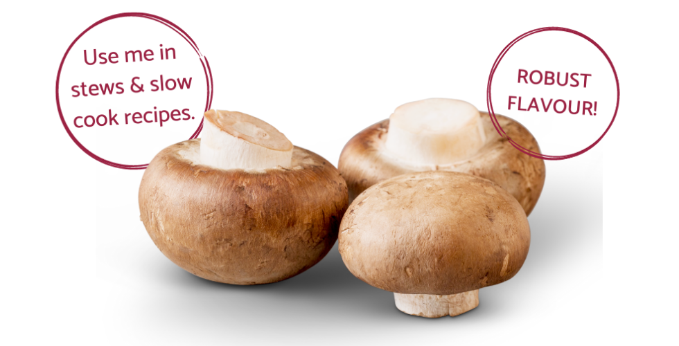 Australian Grown Swiss Brown Mushroom