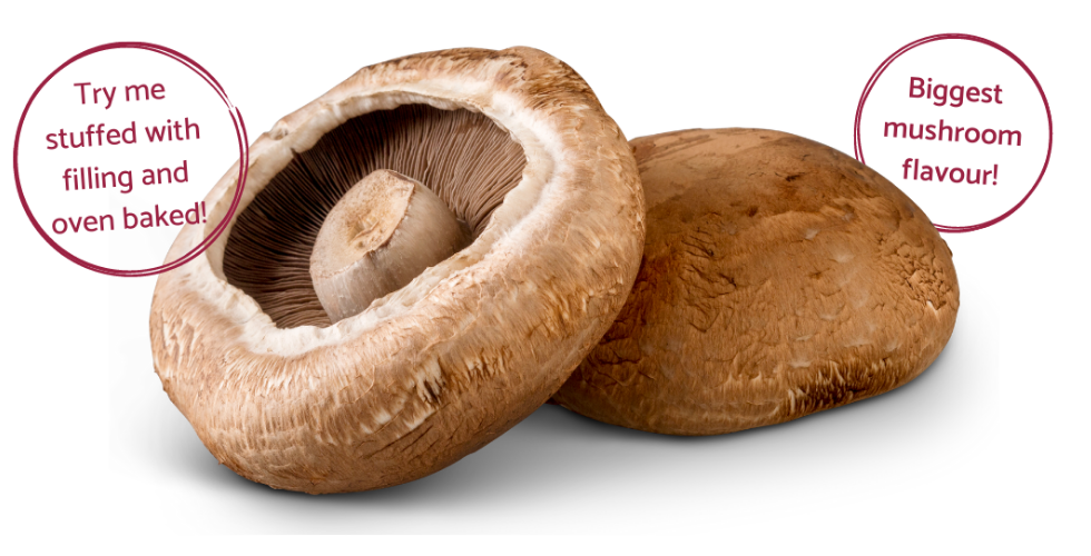 portobello-mushroom-eat