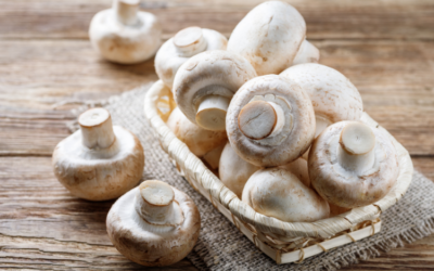 Boost your mushroom intake on World Health Day