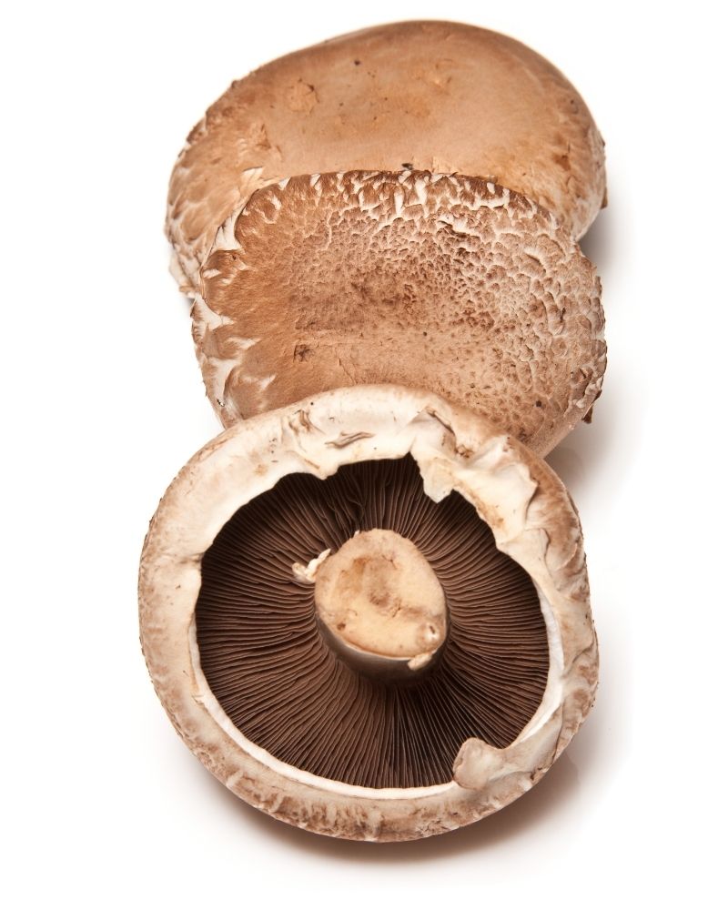 Portobello Mushrooms