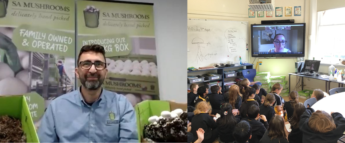 Mushrooms in Schools Virtual Tour